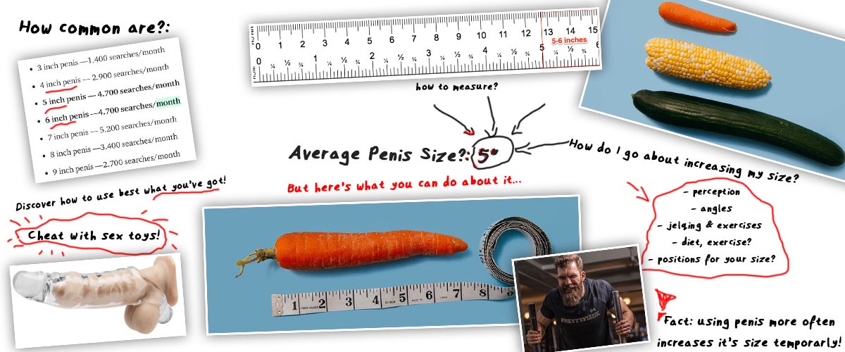 What Is The Average Penis Size In 2019? (Based On Scientific ...